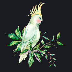 Watercolor white parrot summer greeting card with flowers, leaves.