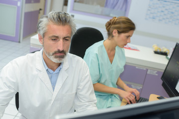 Fototapeta premium medical staff in office using computers
