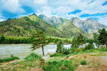 Fototapeta na wymiar Nature with Altai mountains and Katun River at Siberia in Russia