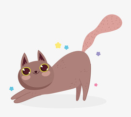 cute cat happy domestic cartoon animal, cats pets