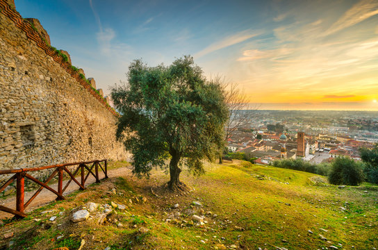 Pietrasanta aerial view from Rocca di Sala fortress at sunset, Versilia Lucca Tuscany Italy