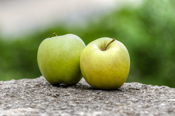 Apples in a still life outdoors on a rock