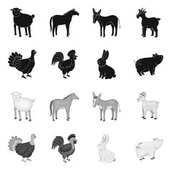 Vector design of breeding and kitchen sign. Set of breeding and organic stock vector illustration.