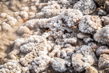 The Dead Sea, Jordan