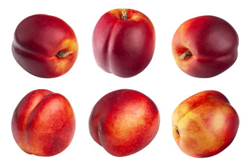 Nectarin on a white background