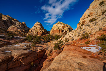 Mounds of Sandstone Along the Navajo Knobs Trail