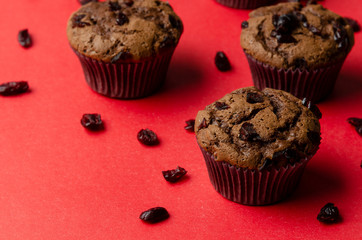 Homemade Cranberry muffins on the color background