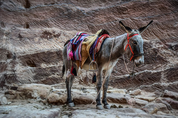 Petra, Jordan