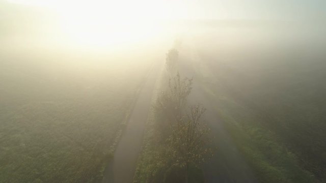 Aerial view of treelined rural road with a cycle lane and morning fog