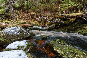 Brook Falls in deep forest with rocks and moss