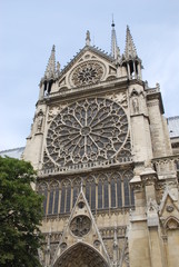 the Rose Window of Notre Dame Cathedral, Paris, France
