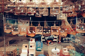 Birdcages Hanging On String For Sale