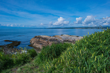 Naklejka premium Coast of Salish Sea