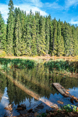 Reflections on the coniferous forest and blue sky with white clouds in a clear mountain lake water.