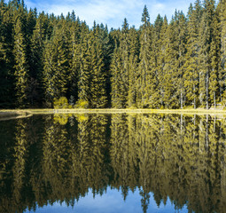 Picturesque lake panorama view with puffy clouds and coniferous forest reflections.