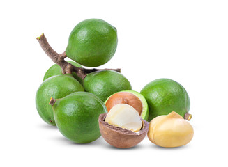 macadamia nuts  isolated on white background