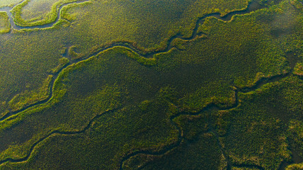 green grunge background