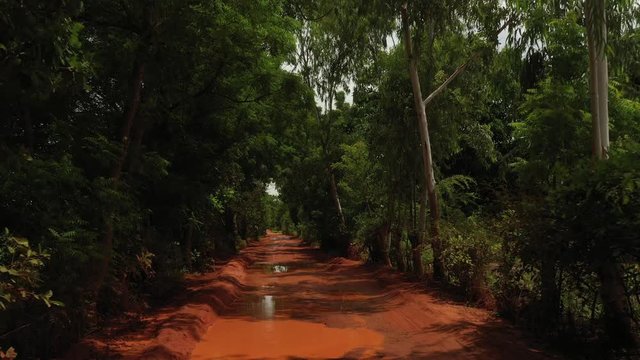 Africa Mali Red Road and Trees Aerial View 2