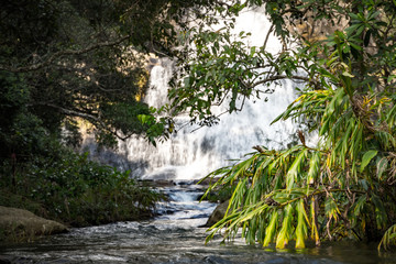 Fototapeta na wymiar Natural water cascade hidden in the jungle forest during sunny day, Diyaluma Falls, Sri Lanka