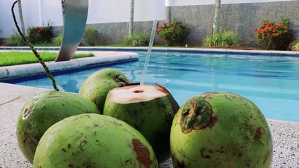 Green coconut water (Brazil) by the pool - 1 - Powered by Adobe