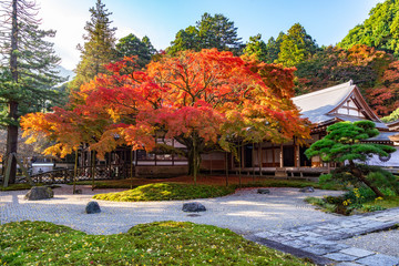 雷山千如寺大悲王院の紅葉