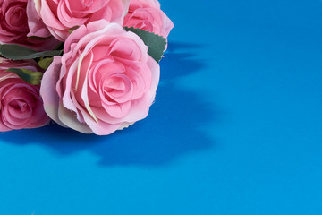 pink roses on a blue background.postcard