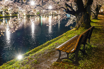 Obraz premium Hirosaki park cherry blossom trees matsuri festival light up at night in springtime. Beauty full bloom pink flowers tunnel in west moat and lights illuminate. Aomori Prefecture, Tohoku Region, Japan