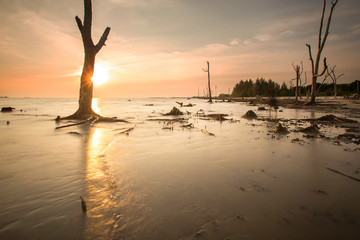 Fototapeta premium Scenic view of amazing tropical beach. Nature composition and vibrant colors.