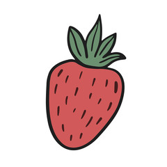 Strawberry. Vector color sketch in doodle style. Color illustration of a berry in cartoon style.