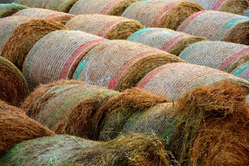 many straw bales of hay