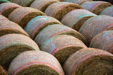 many straw bales of hay