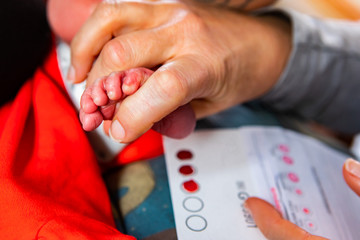 A selective focus shot as a midwife nurse carries out health checks on a newborn baby, taking blood samples from the foot to check for rare conditions