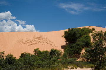 Sand dunes over 40 meters high in the Jalapão desert