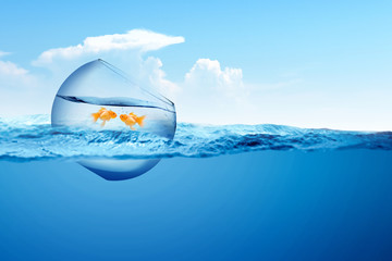 Fishbowl with goldfish floating on the ocean