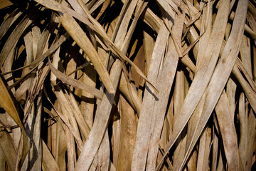 Braided made with the leaves of the Buriti palm for a roof