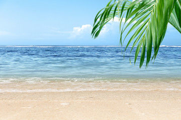 Fototapeta na wymiar Sandy beach with green palm leaf and blue ocean view
