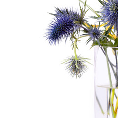 Funky purple thistles in a flower arrangement