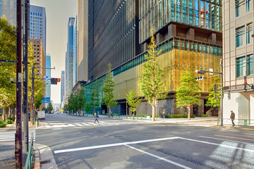 City of Tokyo in Japan. In One of The Central Streets of Tokyo at Daytime.