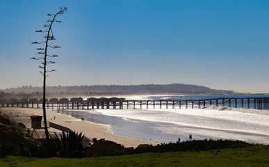 A bluff with tall plant and empty bench with views of Crystal Pier at Pacific Beach with their beach bungalows above the surf on a sunny day 