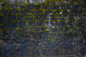 Old stone wall with moss