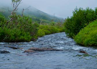 Obraz premium Stream in the Mountains