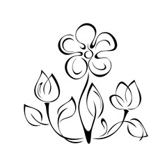 ornament 1009. decorative element with one blooming flower and two buds on stems with leaves in black lines on a white background