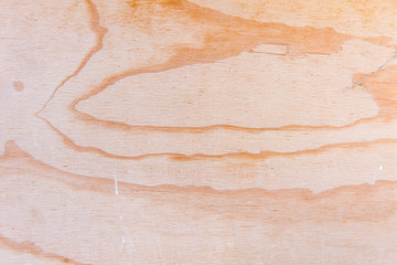 Vintage wood background texture - Design element