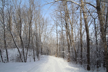 Cold Trail, Gold Bar Park, Edmonton, Alberta