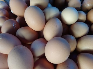 Egg in the traditional market