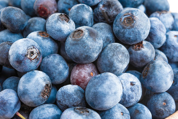 Macro Shot Of Fresh Blueberries
