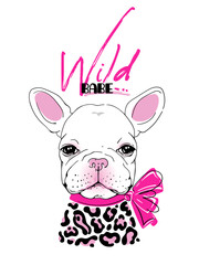 Cute french bulldog in leopard print clothes. Dog with a pink bow. Stylish image for printing on any surface