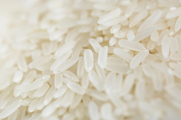Rice closeup