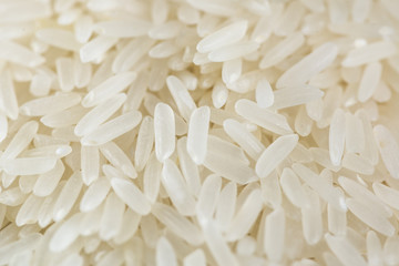 Rice closeup