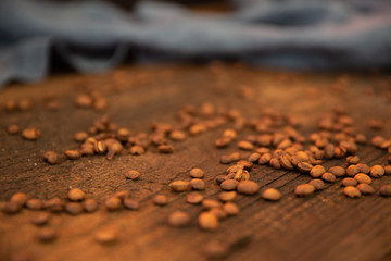 Coffee Beans